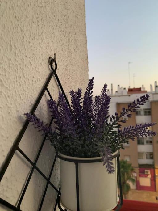 Anfitriones De Glamour - Albor De Sevilla Montequinto Exterior photo